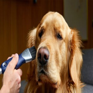 Benefits of Regular Brushing for Shedding