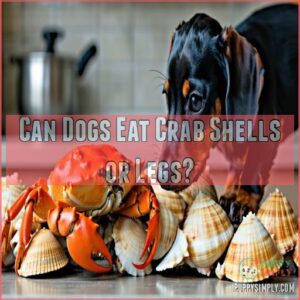 Can Dogs Eat Crab Shells or Legs