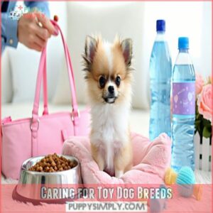 Caring for Toy Dog Breeds