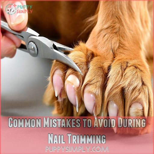 Visual Reference: Dog Nail Trimming How To Do It Without Causing Pain