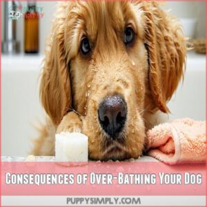 Consequences of Over-Bathing Your Dog