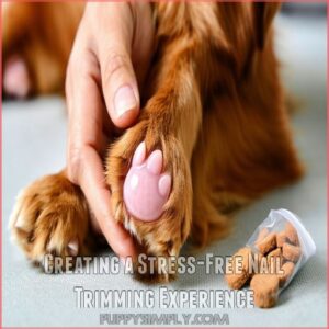 Creating a Stress-Free Nail Trimming Experience