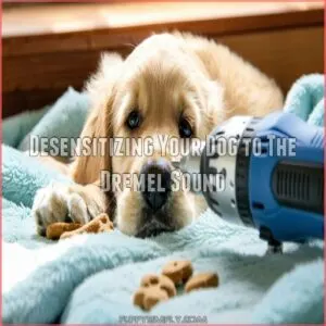 Desensitizing Your Dog to The Dremel Sound