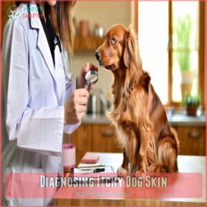 Diagnosing Itchy Dog Skin