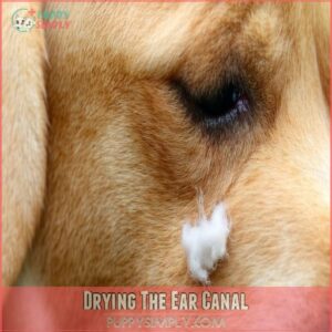 Drying The Ear Canal