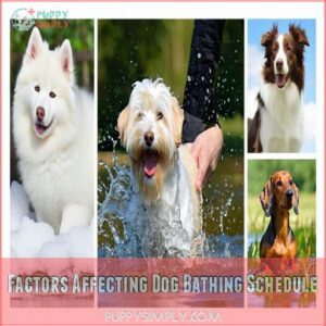 Factors Affecting Dog Bathing Schedule