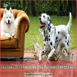 Factors Determining Dog Bathing Frequency