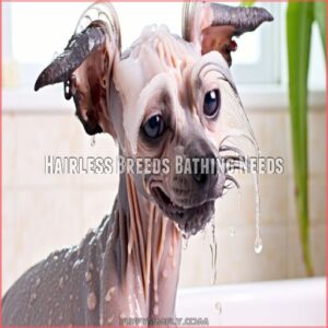 Hairless Breeds Bathing Needs