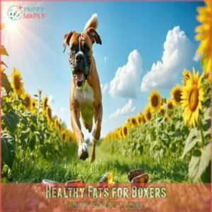 Healthy Fats for Boxers