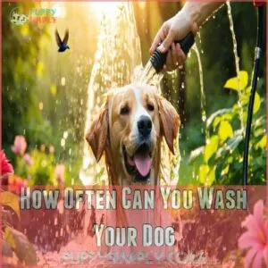 How Often Can You Wash Your Dog