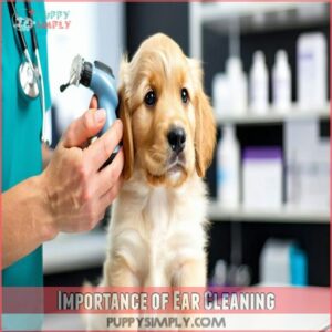 Importance of Ear Cleaning