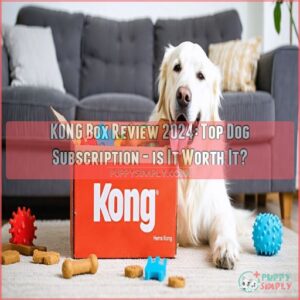 kong box review