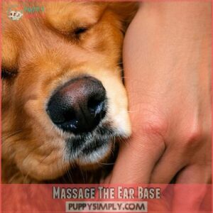 Massage The Ear Base