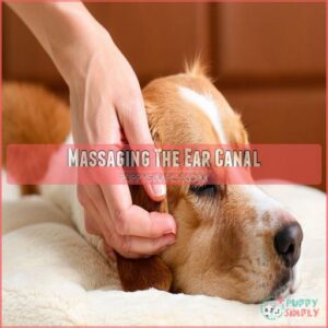 Massaging The Ear Canal