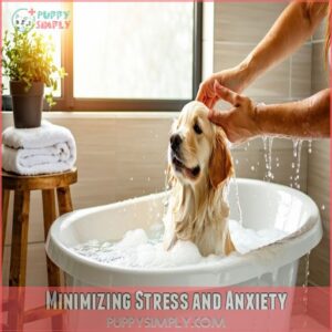 Minimizing Stress and Anxiety