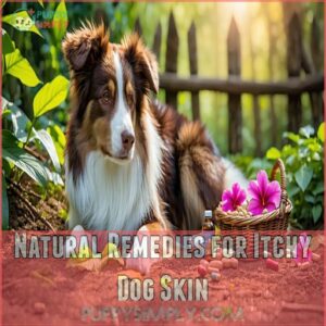 Natural Remedies for Itchy Dog Skin