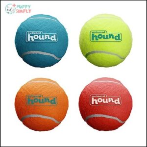 Outward Hound Squeaker Ballz Fetch