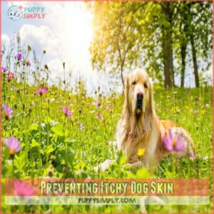 Preventing Itchy Dog Skin