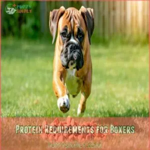 Protein Requirements for Boxers