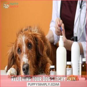 Relieving Your Dog