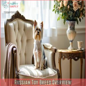 Russian Toy Breed Overview