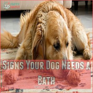 Signs Your Dog Needs a Bath