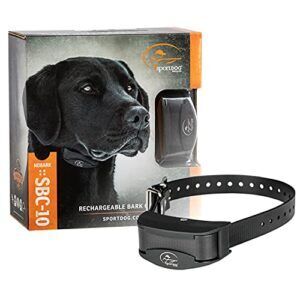 SportDOG Brand NoBark 10 Collar, B07T4LHWKP