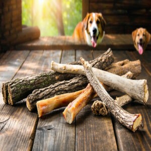 Tailoring Rawhide Chews to Picky Eaters and Aggressive Chewers