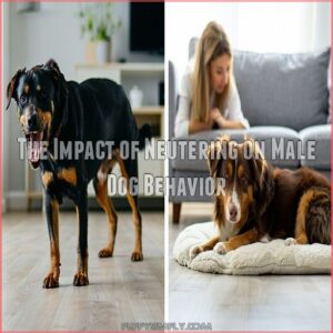 The Impact of Neutering on Male Dog Behavior