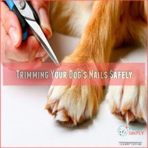 Trimming Your Dog's Nails Safely Trimming Your Dog's Nails Safely