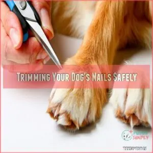 Trimming Your Dog