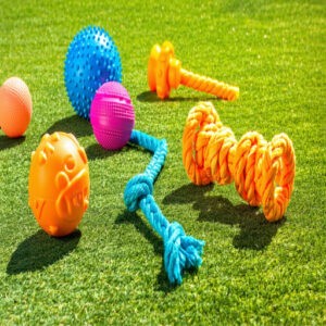 Types of Indestructible Dog Toys