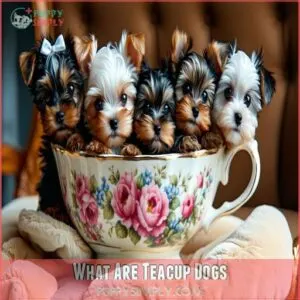 What Are Teacup Dogs