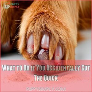 What to Do if You Accidentally Cut The Quick