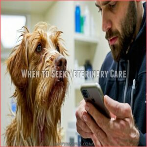 When to Seek Veterinary Care