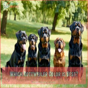 Which Rottweiler Color is Best