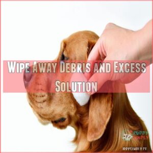 Wipe Away Debris and Excess Solution