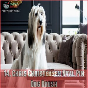 14. Chris Christensen Oval Pin Dog Brush