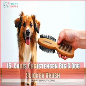 15. Chris Christensen Big G Dog Slicker Brush