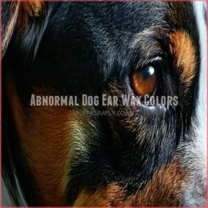 Abnormal Dog Ear Wax Colors