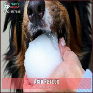 Acid Reflux