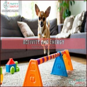 Activity and Energy