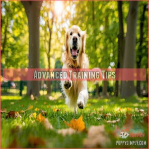 Advanced Training Tips