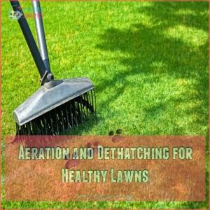 Aeration and Dethatching for Healthy Lawns