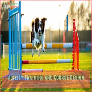 Agility Training and Course Design