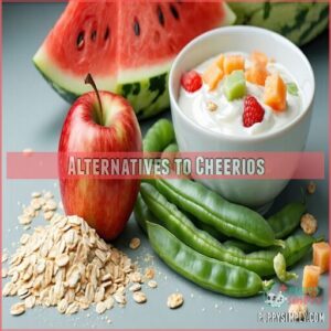 Alternatives to Cheerios