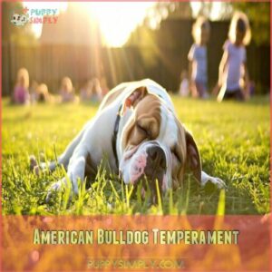 American Bulldog Temperament