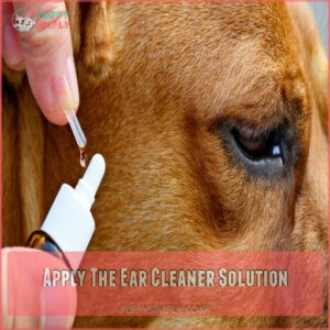 Apply The Ear Cleaner Solution