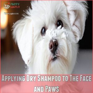 Applying Dry Shampoo to The Face and Paws