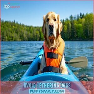 Avoid Tethering Dogs